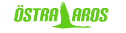Flyttfirma Östra Aros – Smooth & Reliable Moving Services in Uppsala